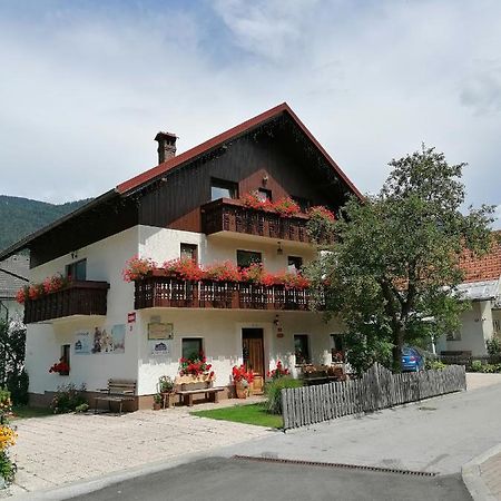 Apartments & Rooms Smucka 克拉尼斯卡戈拉 外观 照片